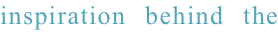 shapeimage_4_link_5