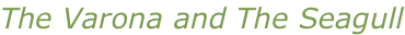 shapeimage_5_link_0